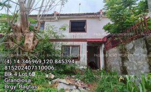 fil1520250603457
