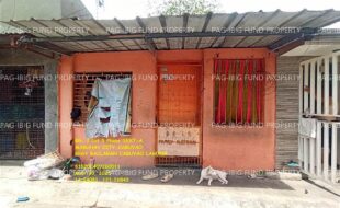 fil1520250603521