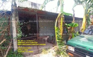 fil1520250609158
