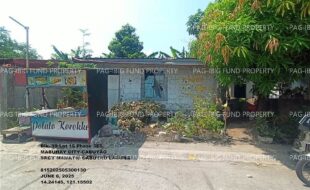 fil1520250609171