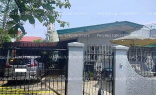 fil1520250609210