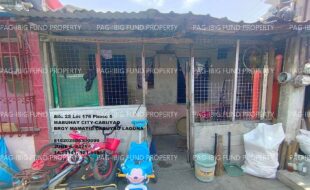 fil1520250609228