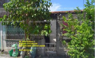 fil1520250616237