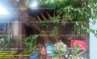 fil1520250616250