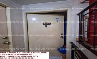 fil1520250617263