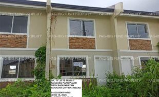 fil1520250619054