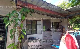 fil1520250619108