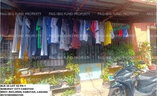 fil1520250619207