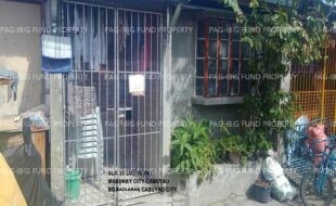 fil1520250619256