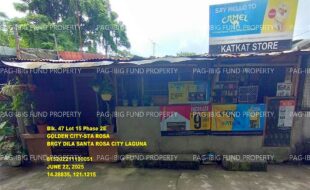 fil1520250623813