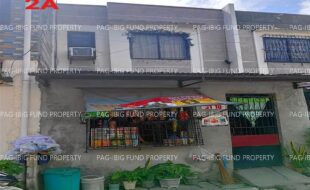 fil1520250701008