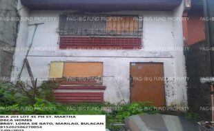 fil1520250707454
