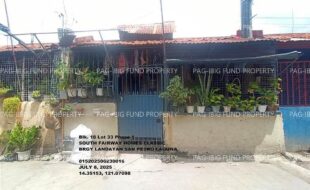 fil1520250708397