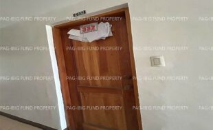 fil1520250714103