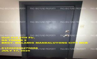 fil1520250718086