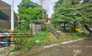 fil1520250725296