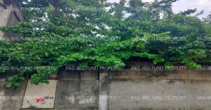 Pag-IBIG ROPA # 815202110200057 - Lot 18 Blk. 2 Phase 1 SUNSHINE VILLAGE FRANCISCO DE CASTRO (SUNSHINE VILL.), GEN. MARIANO ALVAREZ, CAVITE, 4117 - 2nd Public Auction on Jun. 22, 2026 - Jun. 26, 2026