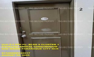 fil1520250811458