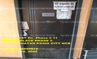 fil1520250813239
