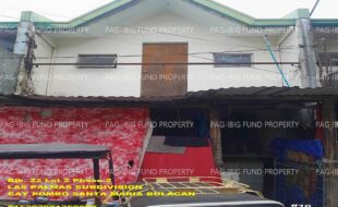 fil1520250814507