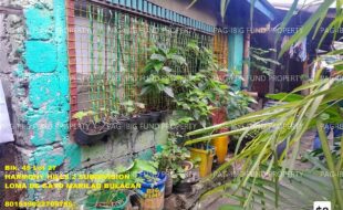 fil1520250819068