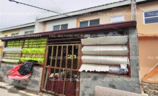 fil1520250822407