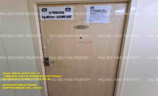 fil1520250908269
