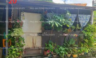 fil1520250910320