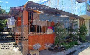 fil1520250910375