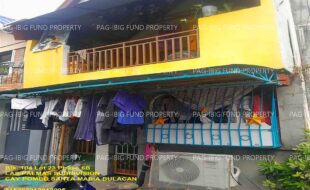 fil1520250929246