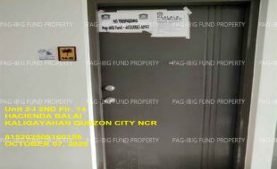 fil1520251008164