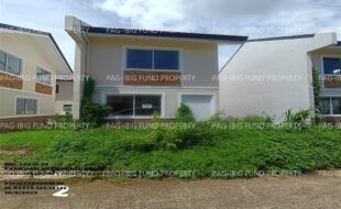 fil1520251010121