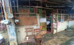 fil1520251104263