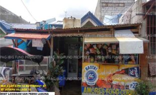 fil1520251111201