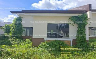 fil1520251212132