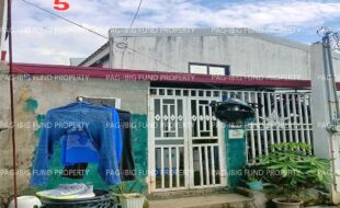 fil1520260116062