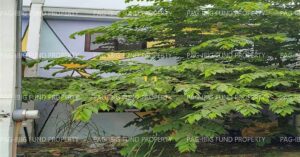 Pag-IBIG ROPA # 815202512190056 - Lot 69 Blk. 30 PAGSINAG PLACE SOUTH SABANG, NAIC, CAVITE, 4110 - 2nd Public Auction on Jun. 22, 2026 - Jun. 26, 2026