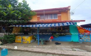 fil1520260116701