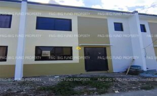 fil1520260120281