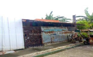 fil1520260120405