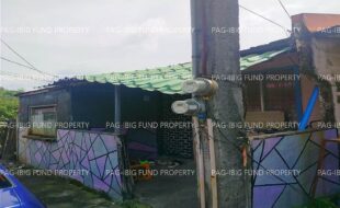 fil1520260120406