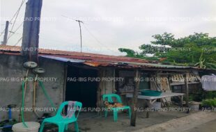 fil1520260120419