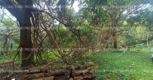 Pag-IBIG ROPA # 801518061500001 - Lot 04 Blk. 08 GARDEN COTTAGES CUYAMBAY, TANAY, RIZAL, 1980 - Negotiated Sale on Jun. 22, 2026 - Jun. 26, 2026