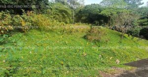 Pag-IBIG ROPA # 815202207220019 - Lot 2 Blk. 11 GARDEN COTTAGES CUYAMBAY, TANAY, RIZAL, 1980 - Negotiated Sale on Jun. 22, 2026 - Jun. 26, 2026