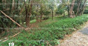 Pag-IBIG ROPA # 815202305200028 - Lot 4 Blk. 37-A GARDEN COTTAGES CUYAMBAY, TANAY, RIZAL, 1980 - Negotiated Sale on Jun. 22, 2026 - Jun. 26, 2026