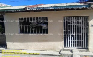 fil1520260204155