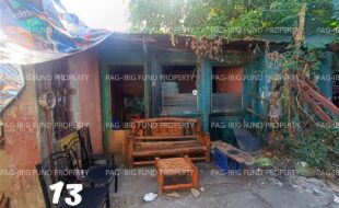 fil1520260204261