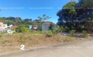 fil1520260204266