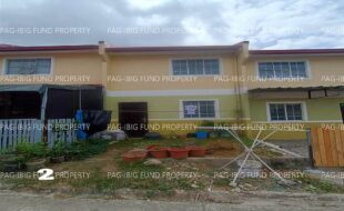 fil1520260213182