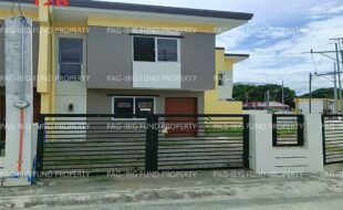 fil1520260213211